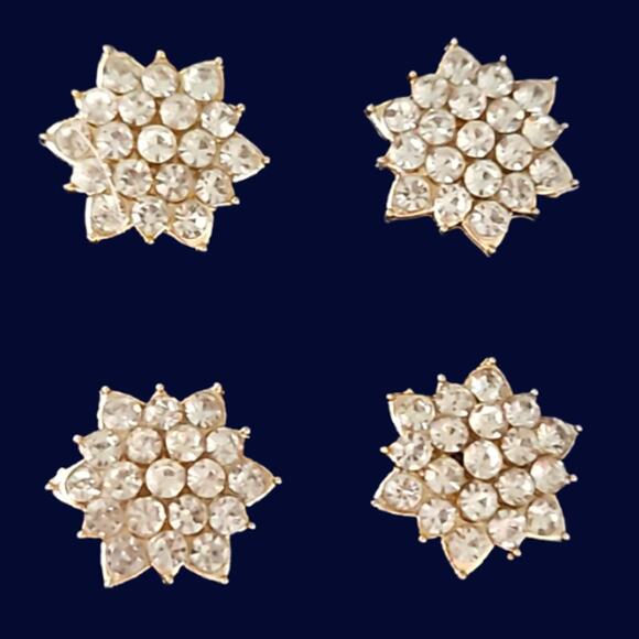 Magnetic Horse Show Number Pins North Star Concho Set of 4 NEW - Picture 2 of 4